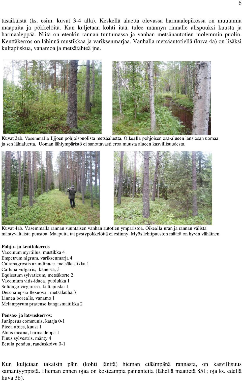Kenttäkerros on lähinnä mustikkaa ja variksenmarjaa. Vanhalla metsäautotiellä (kuva 4a) on lisäksi kultapiiskua, vanamoa ja metsätähteä jne. Kuvat 3ab. Vasemmalla Iijjoen pohjoispuolista metsäaluetta.