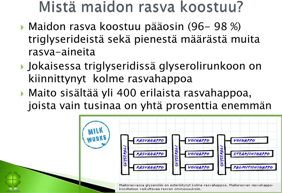 glyserolirunkoon on kiinnittynyt kolme rasvahappoa Maito sisältää