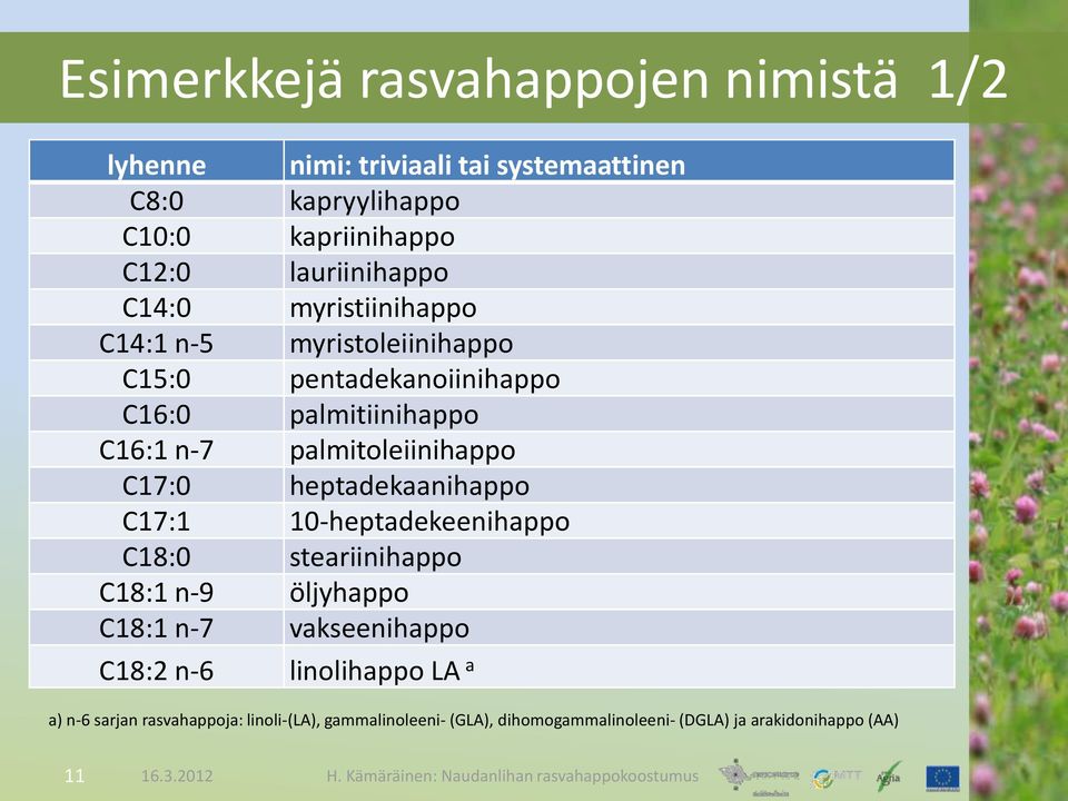 palmitoleiinihappo C17:0 heptadekaanihappo C17:1 10-heptadekeenihappo C18:0 steariinihappo C18:1 n-9 öljyhappo C18:1 n-7 vakseenihappo