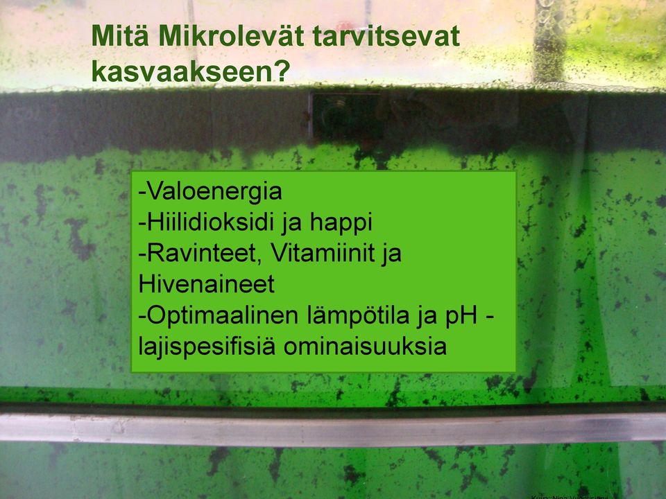 -Ravinteet, Vitamiinit ja Hivenaineet