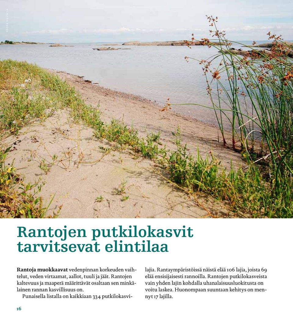 Punaisella listalla on kaikkiaan 334 putkilokasvilajia.