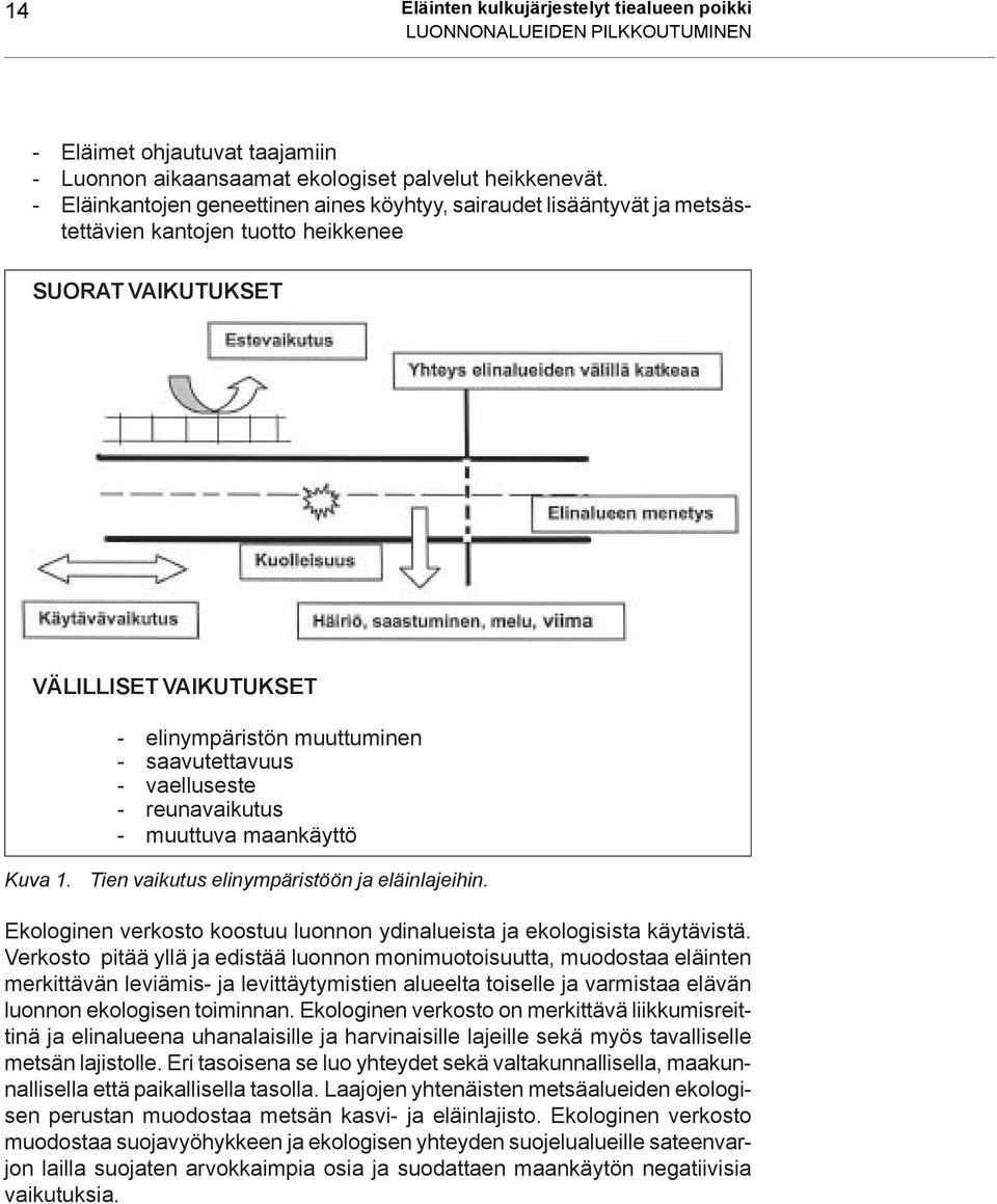 vaelluseste - reunavaikutus - muuttuva maankäyttö Kuva 1. Tien vaikutus elinympäristöön ja eläinlajeihin. Ekologinen verkosto koostuu luonnon ydinalueista ja ekologisista käytävistä.