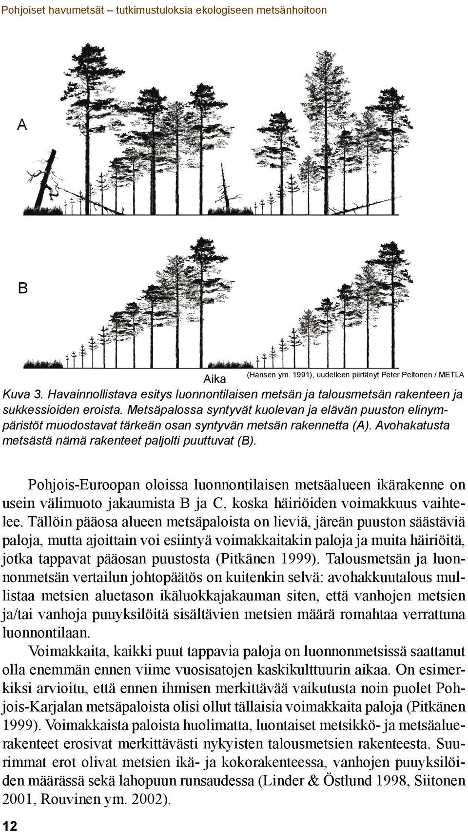 Metsäpalossa syntyvät kuolevan ja elävän puuston elinympäristöt muodostavat tärkeän osan syntyvän metsän rakennetta (A). Avohakatusta metsästä nämä rakenteet paljolti puuttuvat (B).