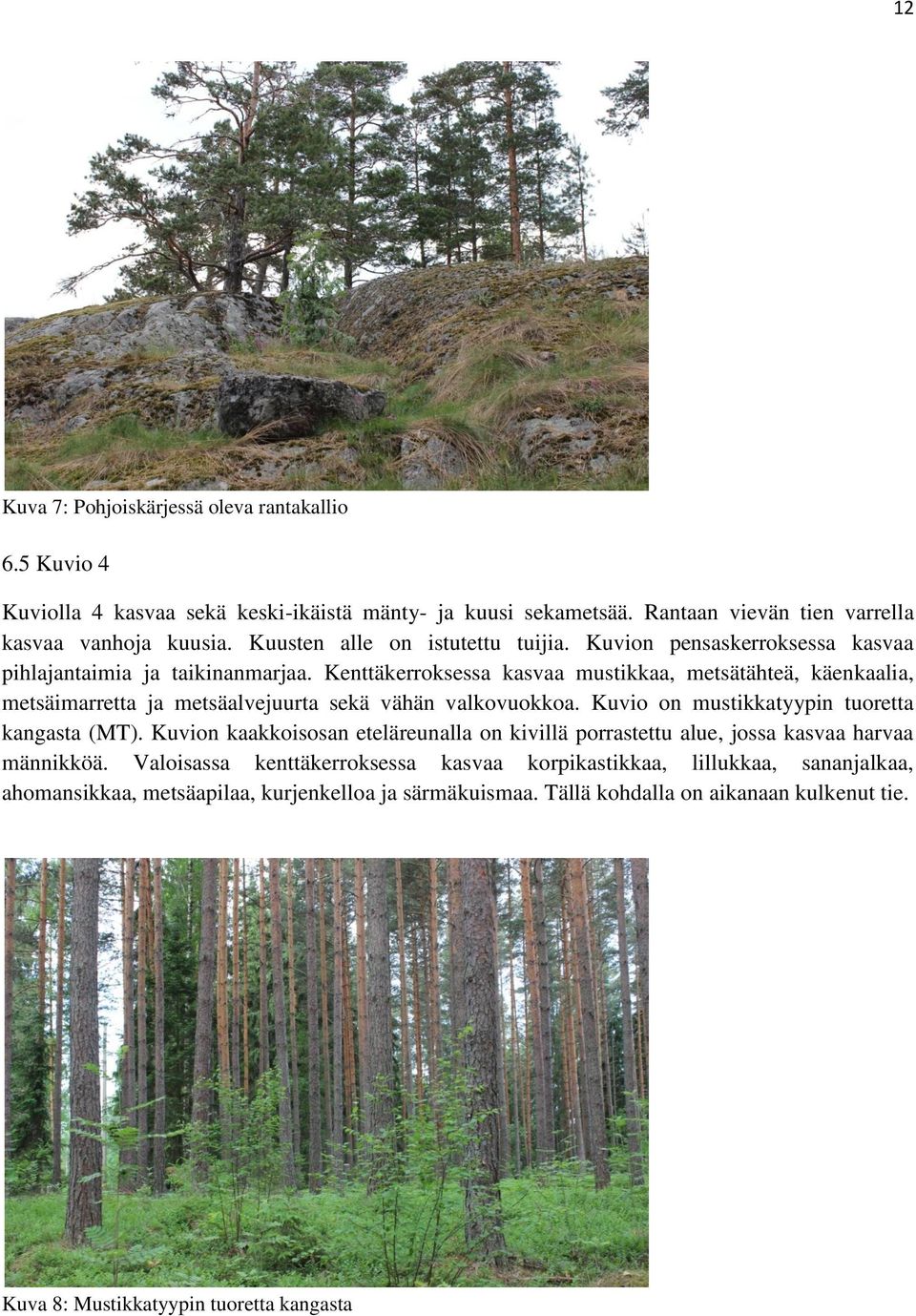 Kenttäkerroksessa kasvaa mustikkaa, metsätähteä, käenkaalia, metsäimarretta ja metsäalvejuurta sekä vähän valkovuokkoa. Kuvio on mustikkatyypin tuoretta kangasta (MT).