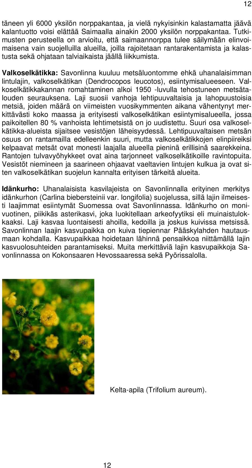 jäällä liikkumista. Valkoselkätikka: Savonlinna kuuluu metsäluontomme ehkä uhanalaisimman lintulajin, valkoselkätikan (Dendrocopos leucotos), esiintymisalueeseen.