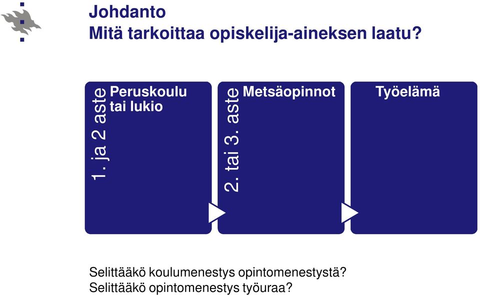 aste Metsäopinnot Työelämä Selittääkö