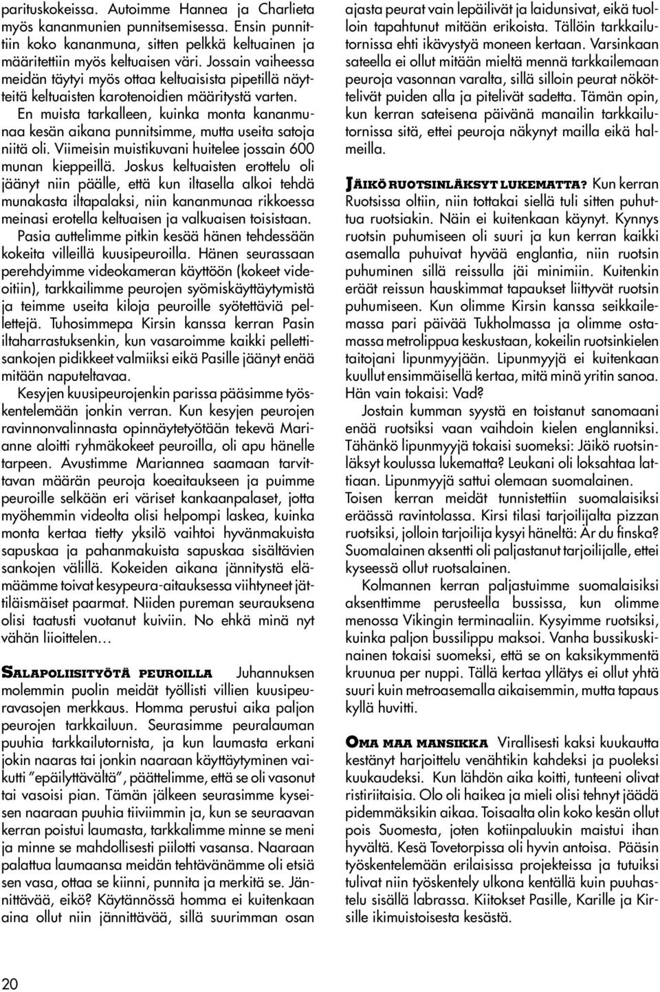 En muista tarkalleen, kuinka monta kananmunaa kesän aikana punnitsimme, mutta useita satoja niitä oli. Viimeisin muistikuvani huitelee jossain 600 munan kieppeillä.