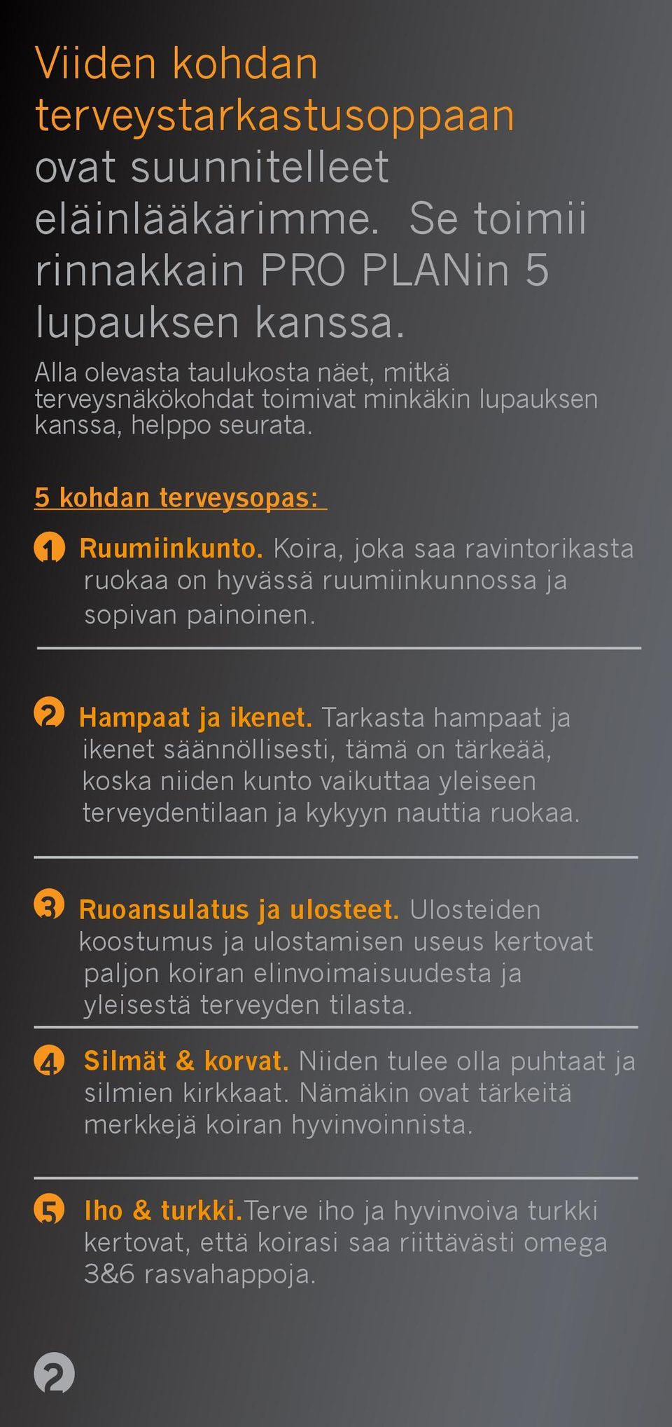 Koira, joka saa ravintorikasta ruokaa on hyvässä ruumiinkunnossa ja sopivan painoinen. Hampaat ja ikenet.