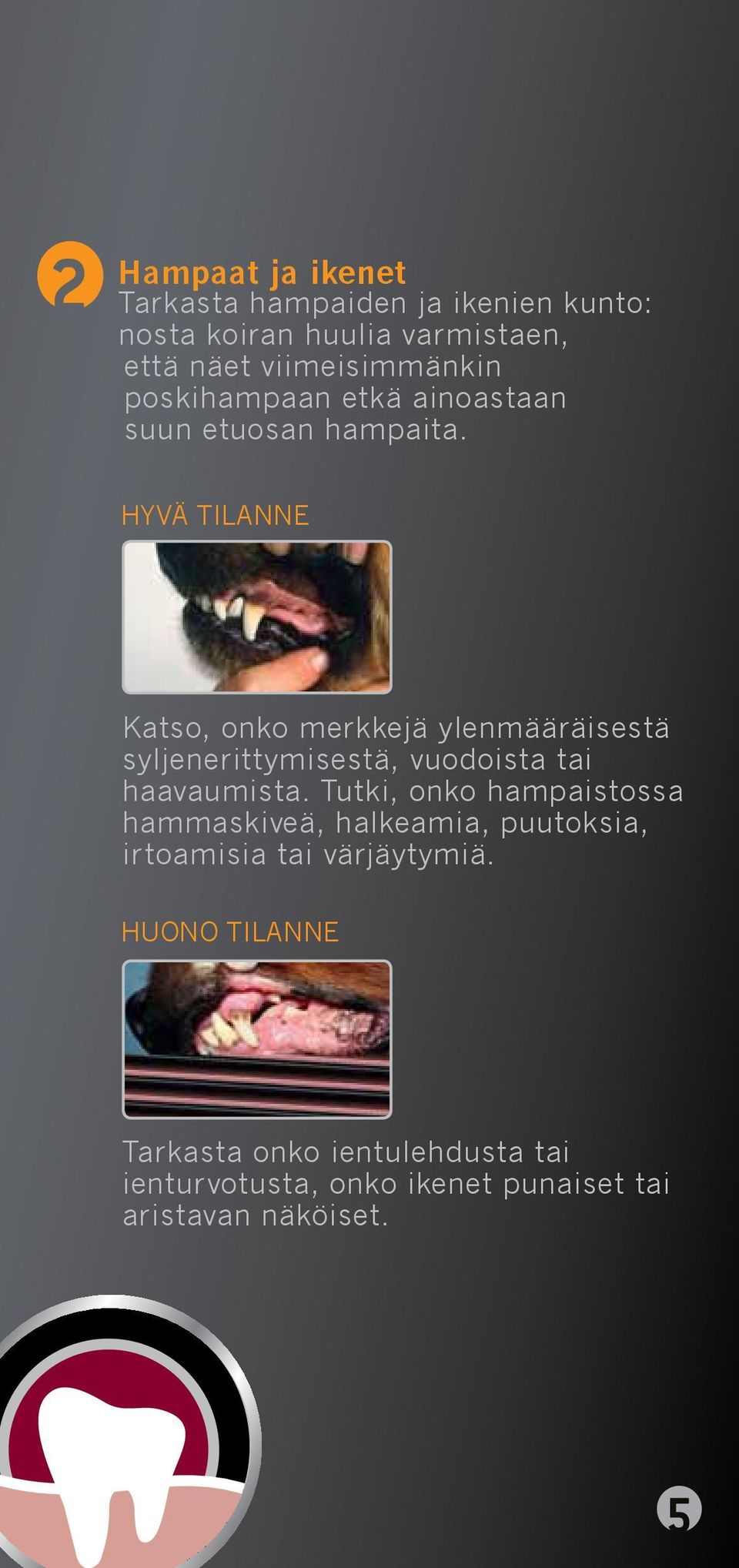 Katso, onko merkkejä ylenmääräisestä syljenerittymisestä, vuodoista tai haavaumista.