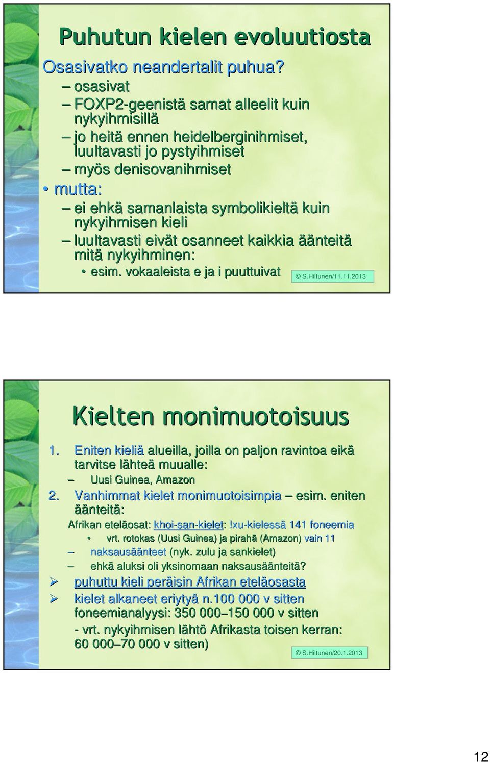 nykyihmisen kieli luultavasti eivät t osanneet kaikkia äänteit nteitä mitä nykyihminen: esim. vokaaleista e ja i puuttuivat S.Hiltunen/11.11.2013 Kielten monimuotoisuus 1.