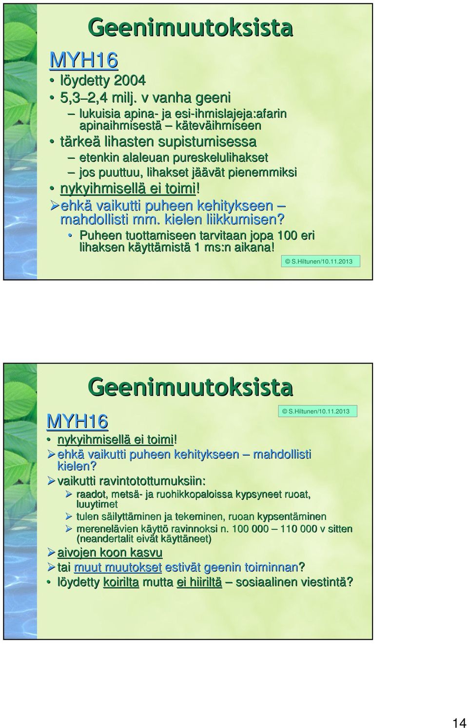 äävät t pienemmiksi nykyihmisellä ei toimi! ehkä vaikutti puheen kehitykseen mahdollisti mm. kielen liikkumisen? Puheen tuottamiseen tarvitaan jopa 100 eri lihaksen käyttk yttämistä 1 ms:n aikana!