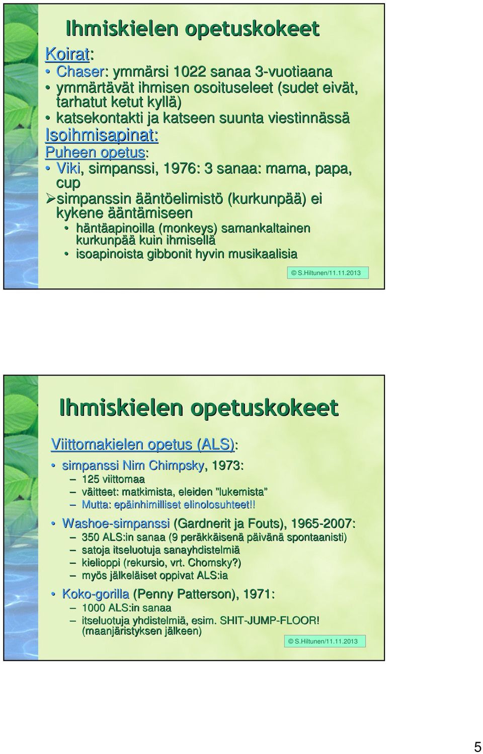 kuin ihmisellä isoapinoista gibbonit hyvin musikaalisia S.Hiltunen/11.