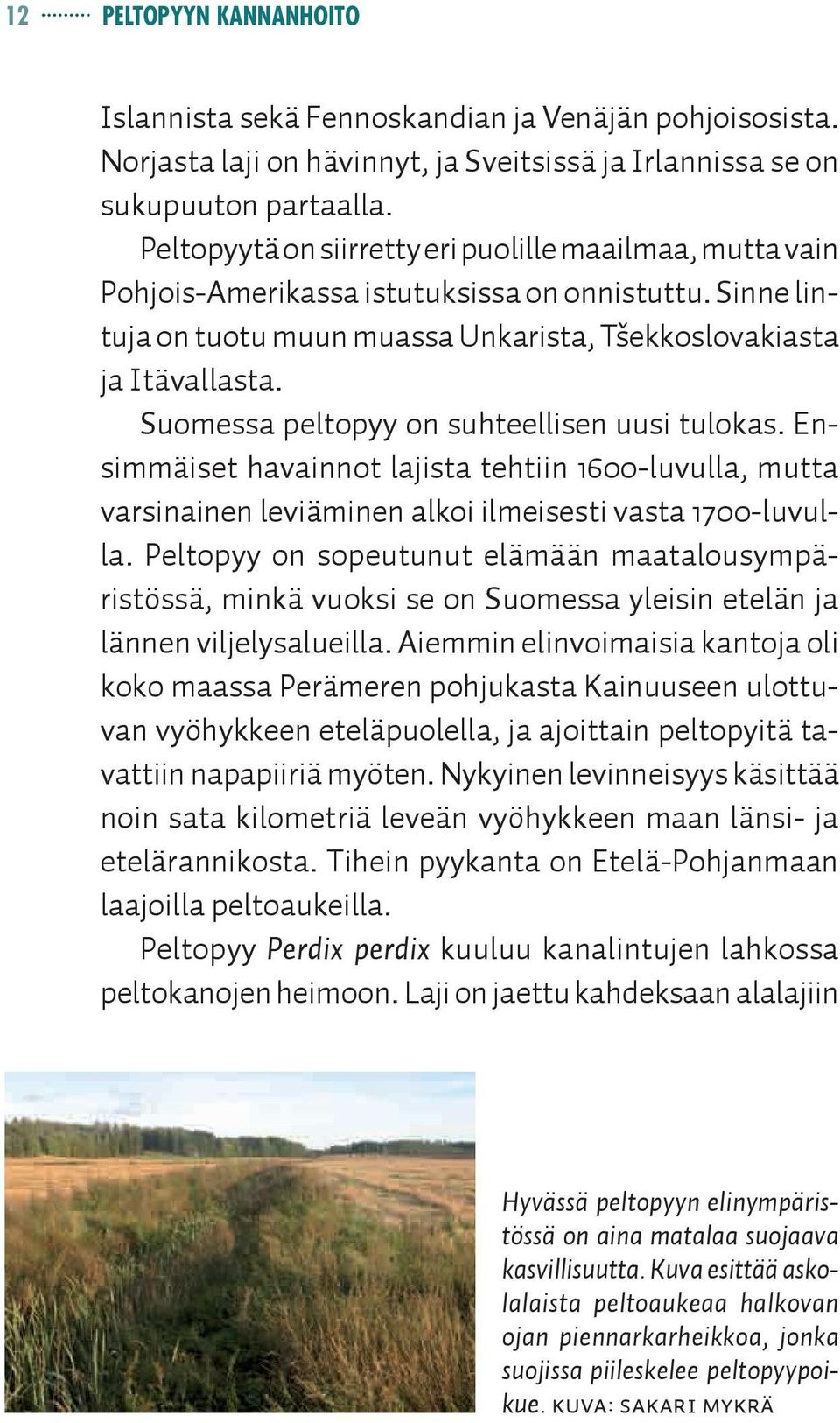 Suomessa peltopyy on suhteellisen uusi tulokas. Ensimmäiset havainnot lajista tehtiin 1600-luvulla, mutta varsinainen leviäminen alkoi ilmeisesti vasta 1700-luvulla.