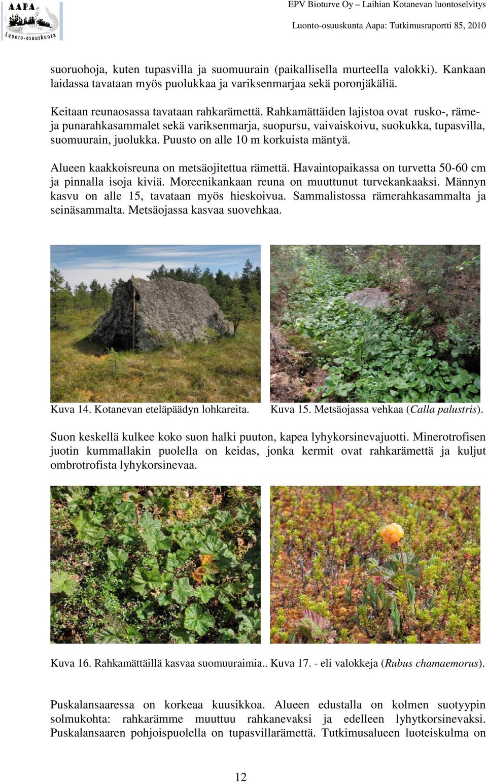 Alueen kaakkoisreuna on metsäojitettua rämettä. Havaintopaikassa on turvetta 50-60 cm ja pinnalla isoja kiviä. Moreenikankaan reuna on muuttunut turvekankaaksi.