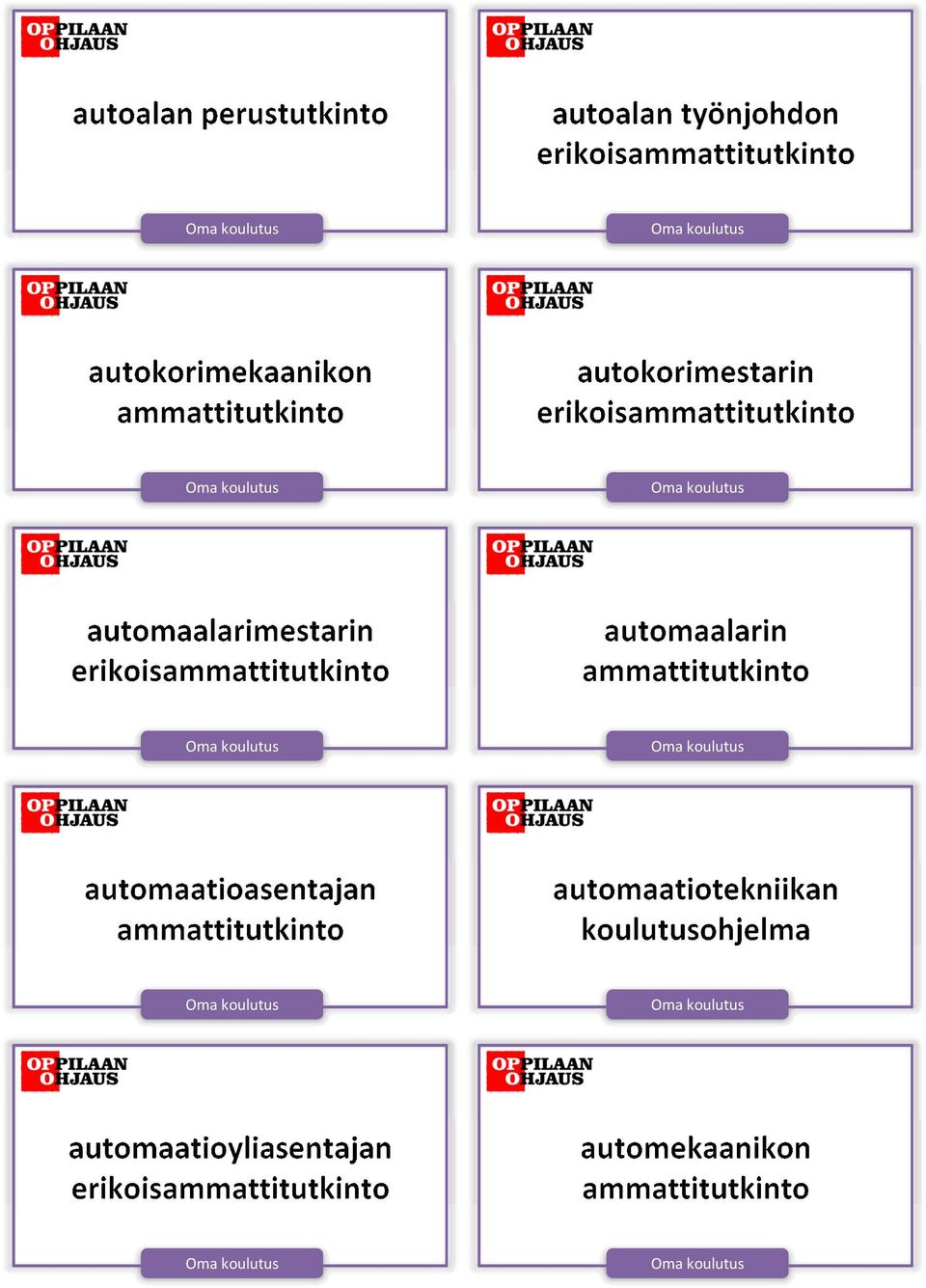 automaalarimestarin erikois automaalarin