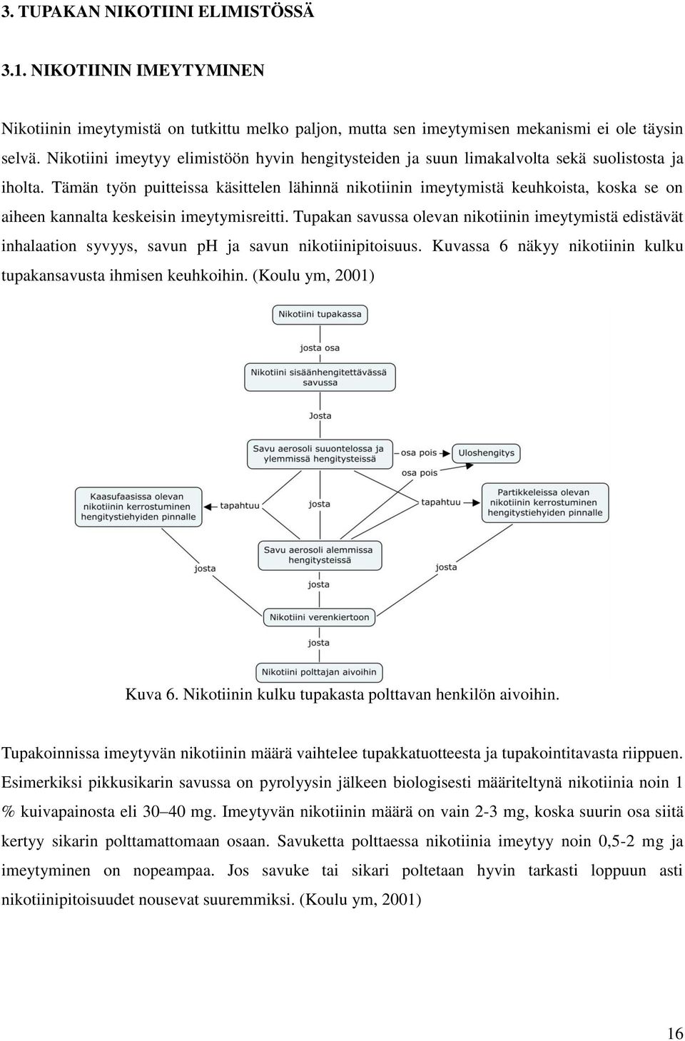 Tämän työn puitteissa käsittelen lähinnä nikotiinin imeytymistä keuhkoista, koska se on aiheen kannalta keskeisin imeytymisreitti.