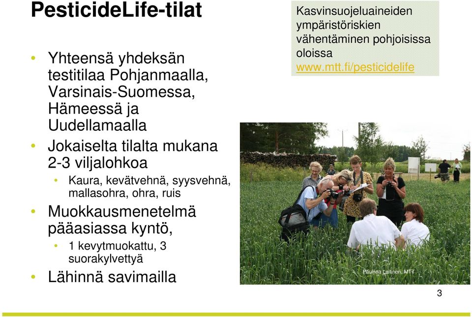 ruis Muokkausmenetelmä pääasiassa kyntö, 1 kevytmuokattu, 3 suorakylvettyä Lähinnä savimailla