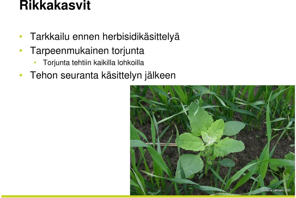 torjunta Torjunta tehtiin kaikilla