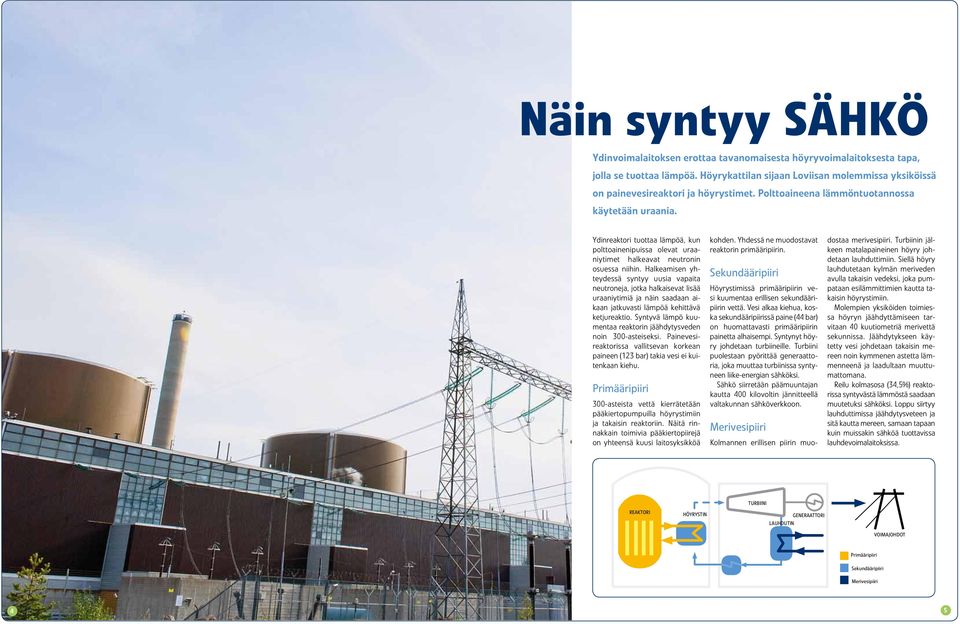 Ydinreaktori tuottaa lämpöä, kun polttoainenipuissa olevat uraaniytimet halkeavat neutronin osuessa niihin.