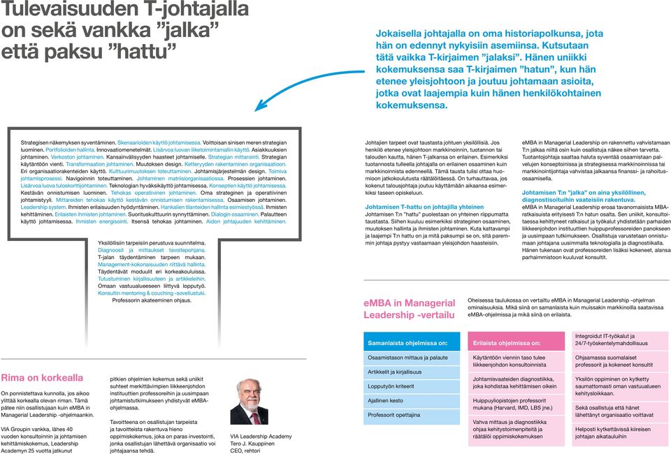 Strategisen näkemyksen syventäminen. Skenaarioiden käyttö johtamisessa. Voittoisan sinisen meren strategian luominen. Portfolioiden hallinta. Innovaatiomenetelmät.