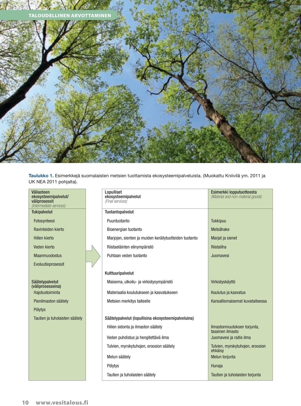 non-material goods) Fotosynteesi Puuntuotanto Tukkipuu Ravinteiden kierto Bioenergian tuotanto Metsähake Hiilen kierto Marjojen, sienten ja muiden keräilytuotteiden tuotanto Marjat ja sienet Veden