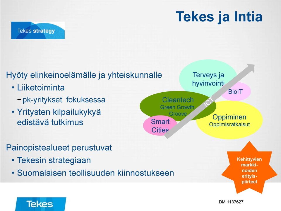 Cities Terveys ja hyvinvointi BioIT Oppiminen Oppimisratkaisut Painopistealueet perustuvat