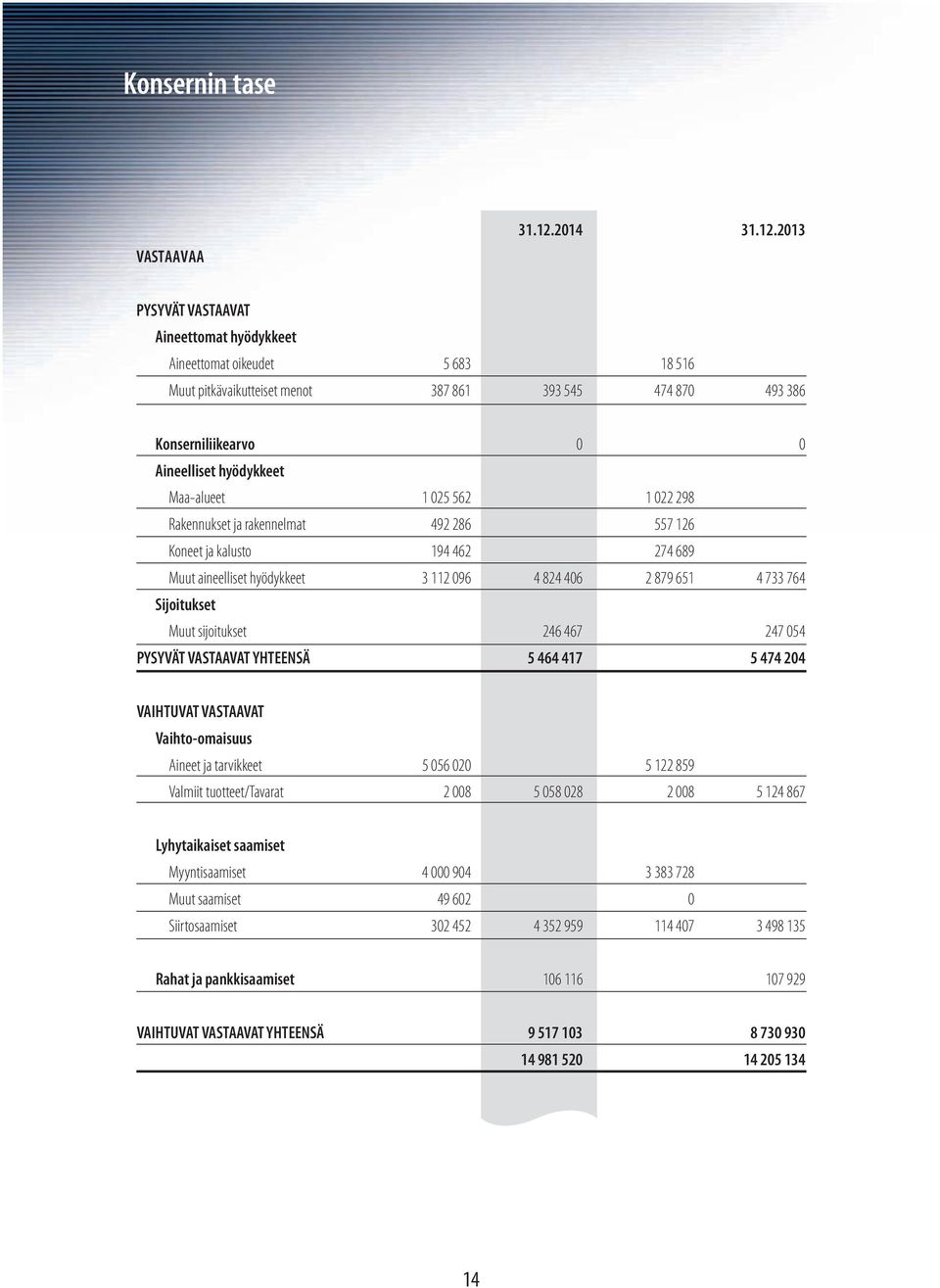 2013 PYSYVÄT VASTAAVAT Aineettomat hyödykkeet Aineettomat oikeudet 5 683 18 516 Muut pitkävaikutteiset menot 387 861 393 545 474 870 493 386 Konserniliikearvo 0 0 Aineelliset hyödykkeet Maa-alueet 1