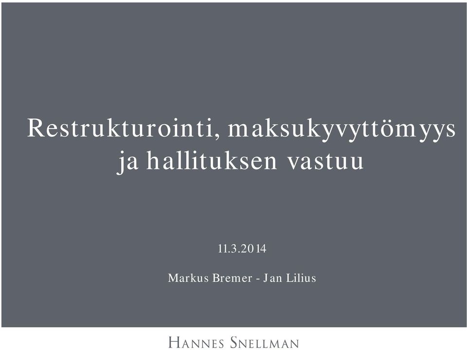 hallituksen vastuu 11.