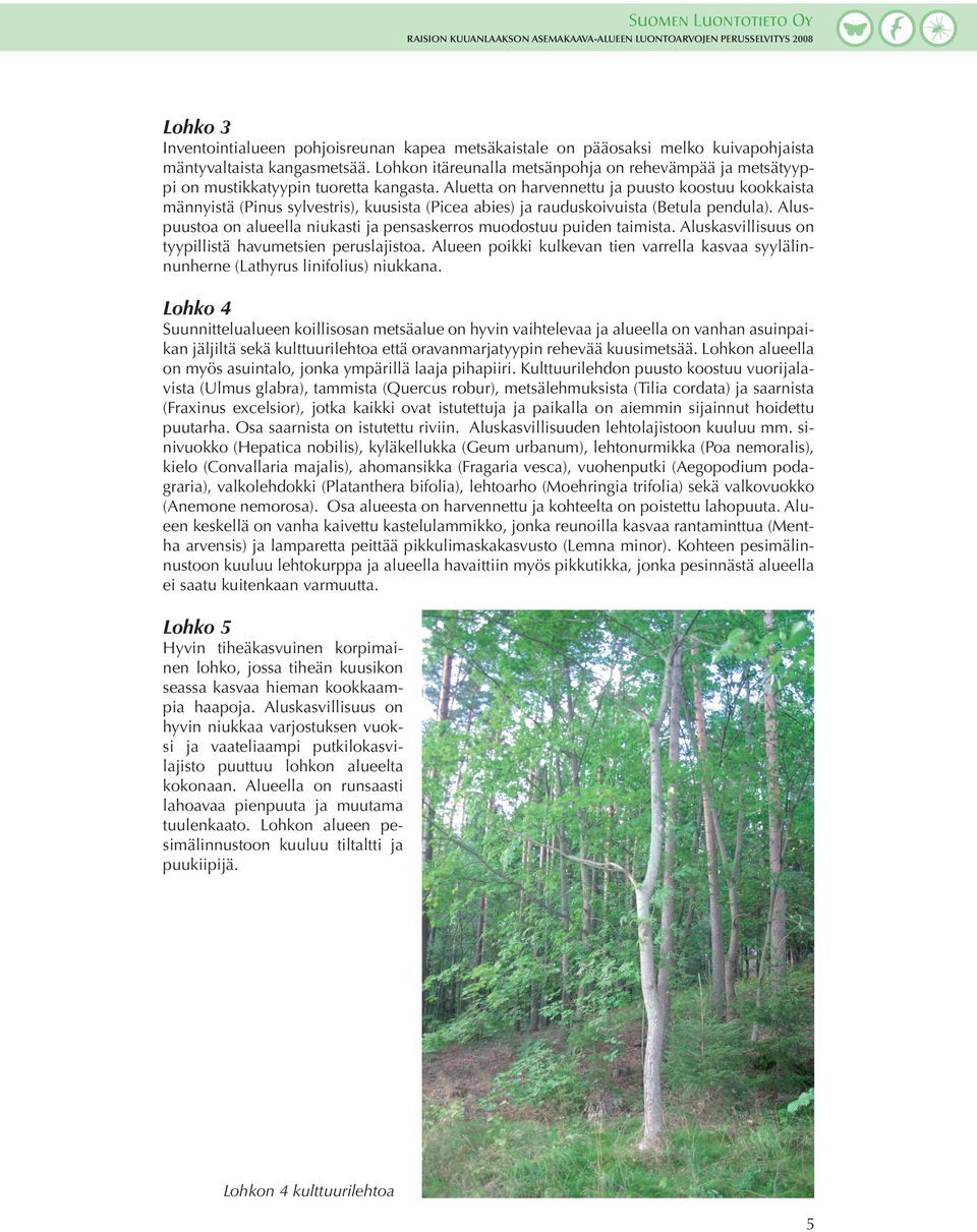 Aluetta on harvennettu ja puusto koostuu kookkaista männyistä (Pinus sylvestris), kuusista (Picea abies) ja rauduskoivuista (Betula pendula).