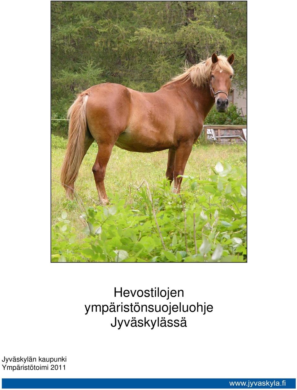 Hevostilojen