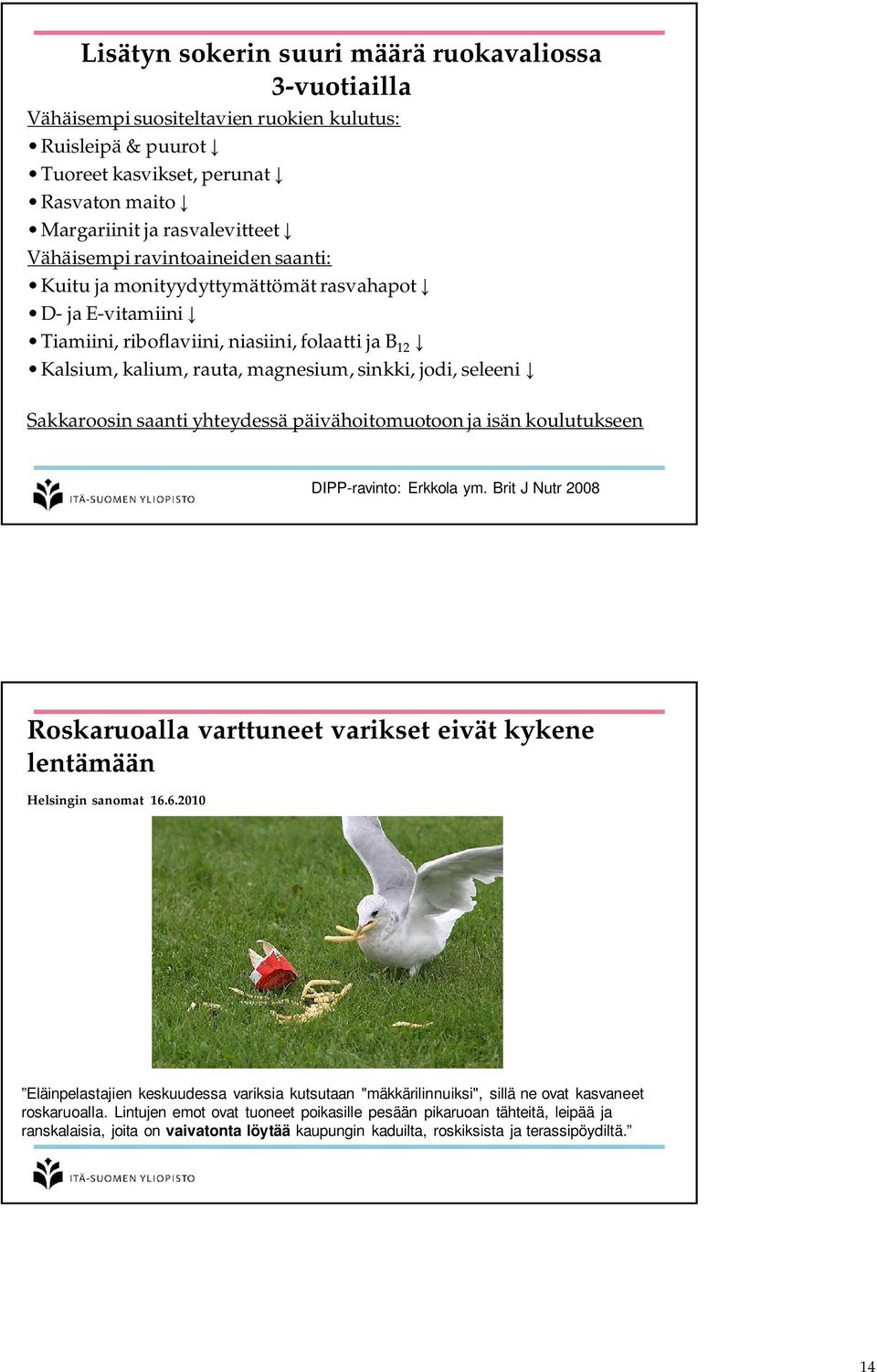 Sakkaroosin saanti yhteydessä päivähoitomuotoon ja isän koulutukseen DIPP-ravinto: Erkkola ym. Brit J Nutr 2008 Roskaruoalla varttuneet varikset eivät kykene lentämään Helsingin sanomat 16.