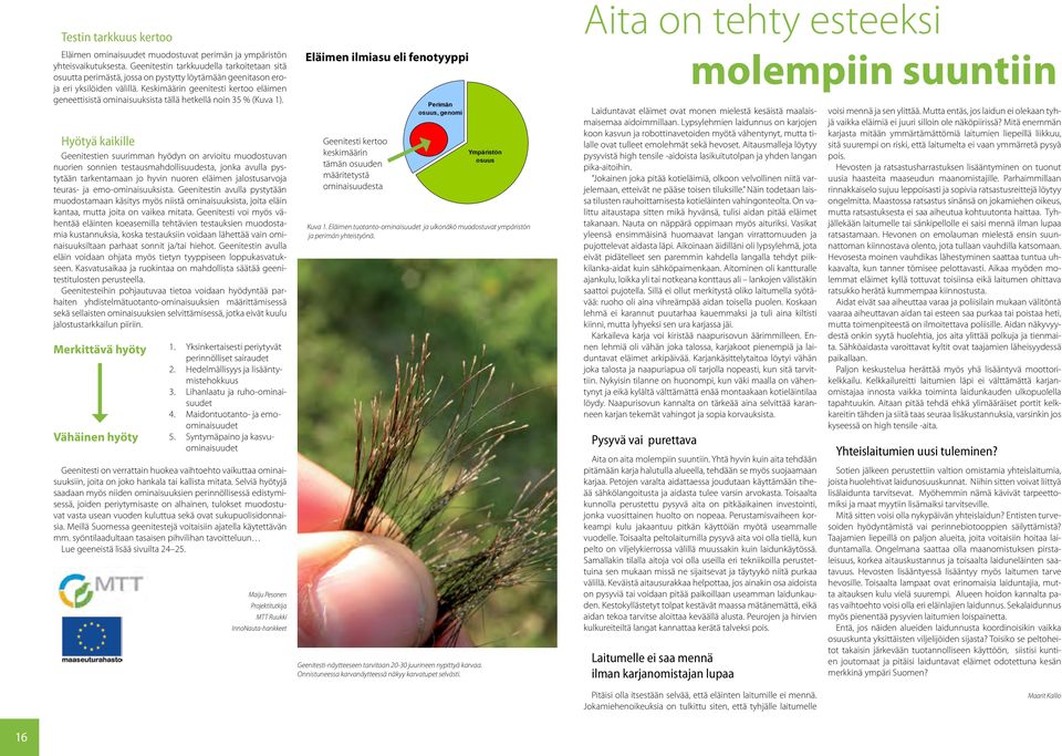 Keskimäärin geenitesti kertoo eläimen geneettisistä ominaisuuksista tällä hetkellä noin 35 % (Kuva 1).