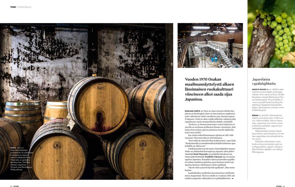 RIESLING FORTE on Tomi no okan risteytys Kōshū Sanjakusta ja Rieslingistä. Kyse on harvinaisesta rypäleestä, josta valmistetun viinin vuosikerta myy yleensä nopeasti loppuun.