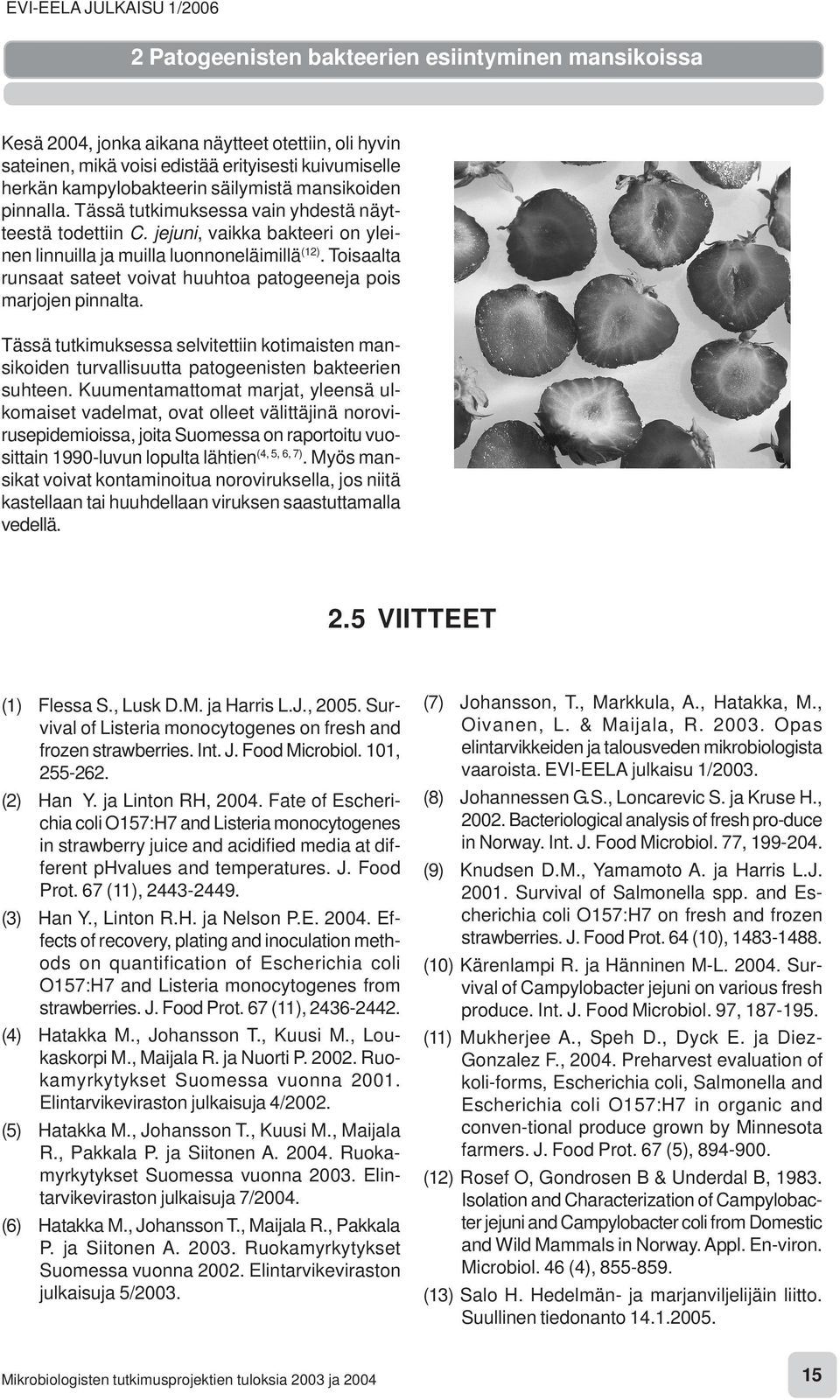 Toisaalta runsaat sateet voivat huuhtoa patogeeneja pois marjojen pinnalta. Tässä tutkimuksessa selvitettiin kotimaisten mansikoiden turvallisuutta patogeenisten bakteerien suhteen.