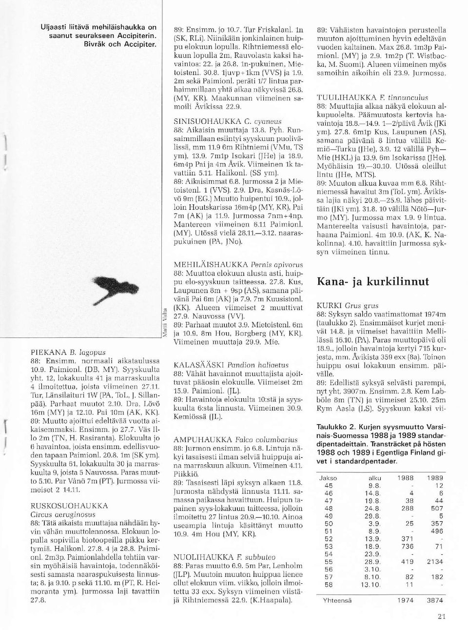 8. (MY, KRl. Vaakunnan!iinrcinel sa rnoili Avikisså 22.c. SINISUOHAUKKÄ C. cyan""us 88r Aikaisin muuttaja 3.8. Pyh. Run saimmillaall esiintyi syyskuun puoii\dlissä, mm.s 6m Rihhiemi {VN{u, TS yml, l3.