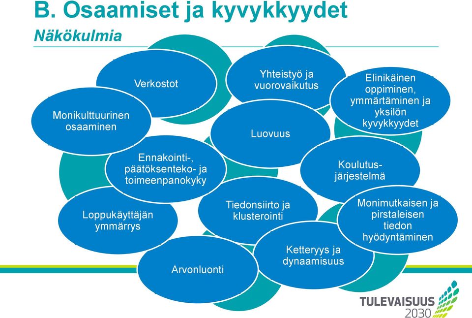 päätöksenteko- ja toimeenpanokyky Koulutusjärjestelmä Loppukäyttäjän ymmärrys Arvonluonti