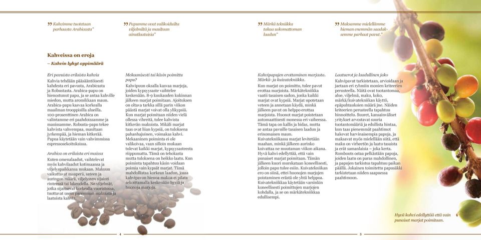 Arabica-papu on hienostunut papu, ja se antaa kahville miedon, mutta aromikkaan maun. Arabica-papu kasvaa korkealla maailman trooppisilla alueilla.
