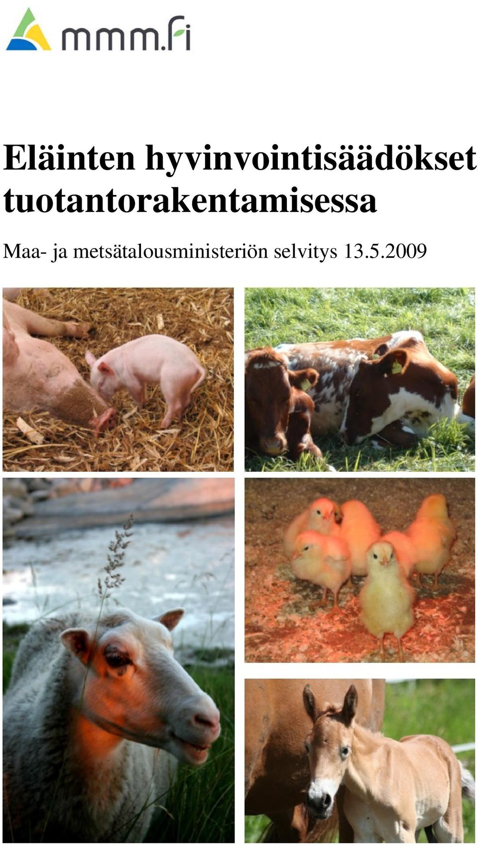 tuotantorakentamisessa