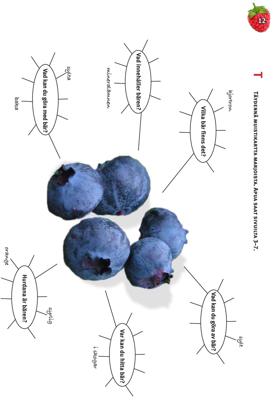 mineralämnen sylta Vad kan du göra med bär?