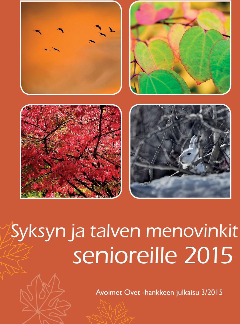 senioreille 2015