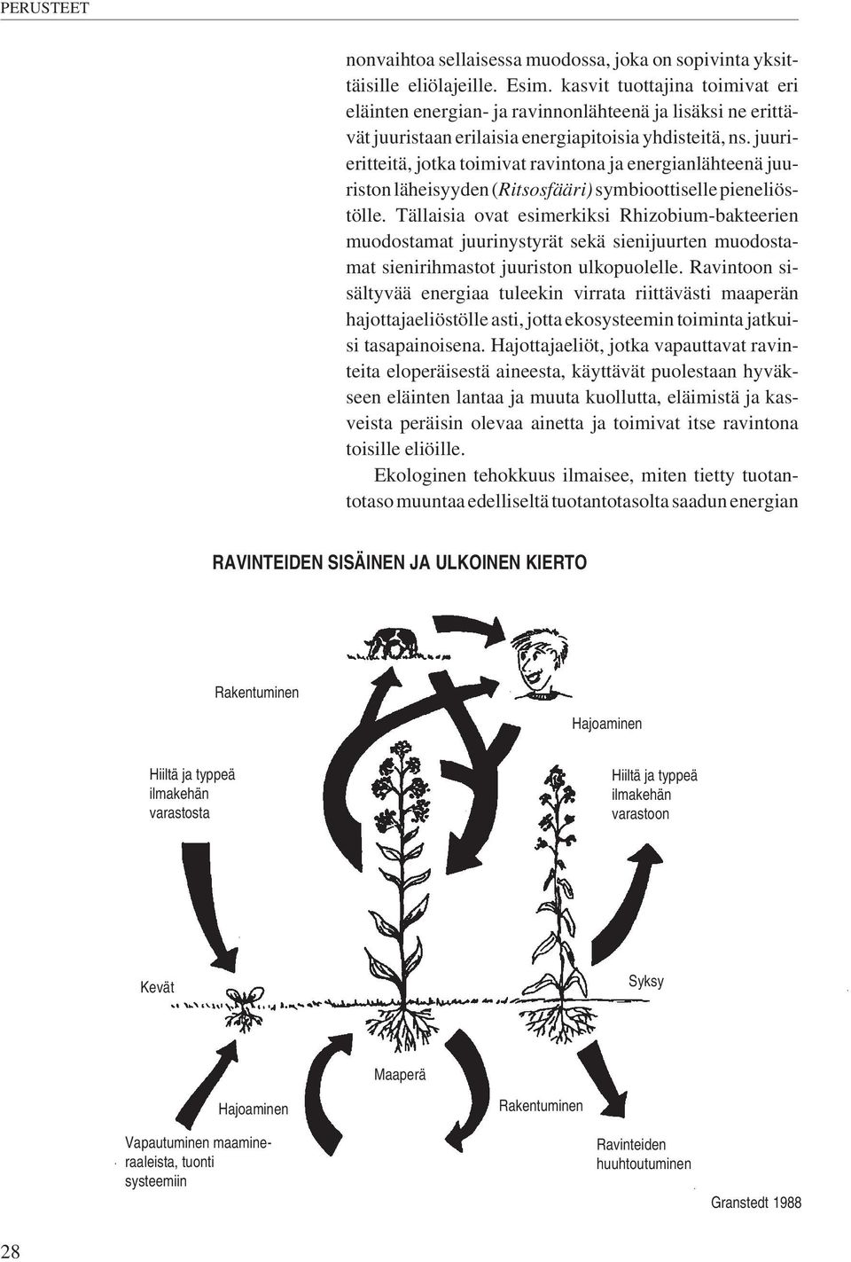 juurieritteitä, jotka toimivat ravintona ja energianlähteenä juuriston läheisyyden (Ritsosfääri) symbioottiselle pieneliöstölle.