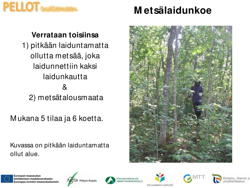 kaksi laidunkautta & 2) metsätalousmaata Mukana 5