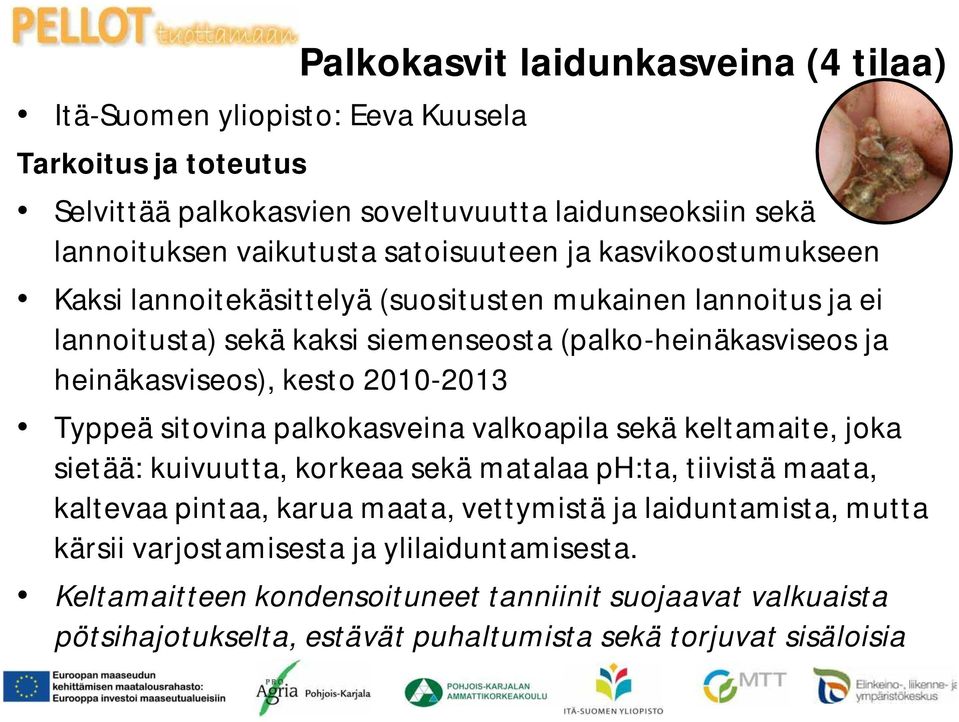 2010-2013 Typpeä sitovina palkokasveina valkoapila sekä keltamaite, joka sietää: kuivuutta, korkeaa sekä matalaa ph:ta, tiivistä maata, kaltevaa pintaa, karua maata, vettymistä ja