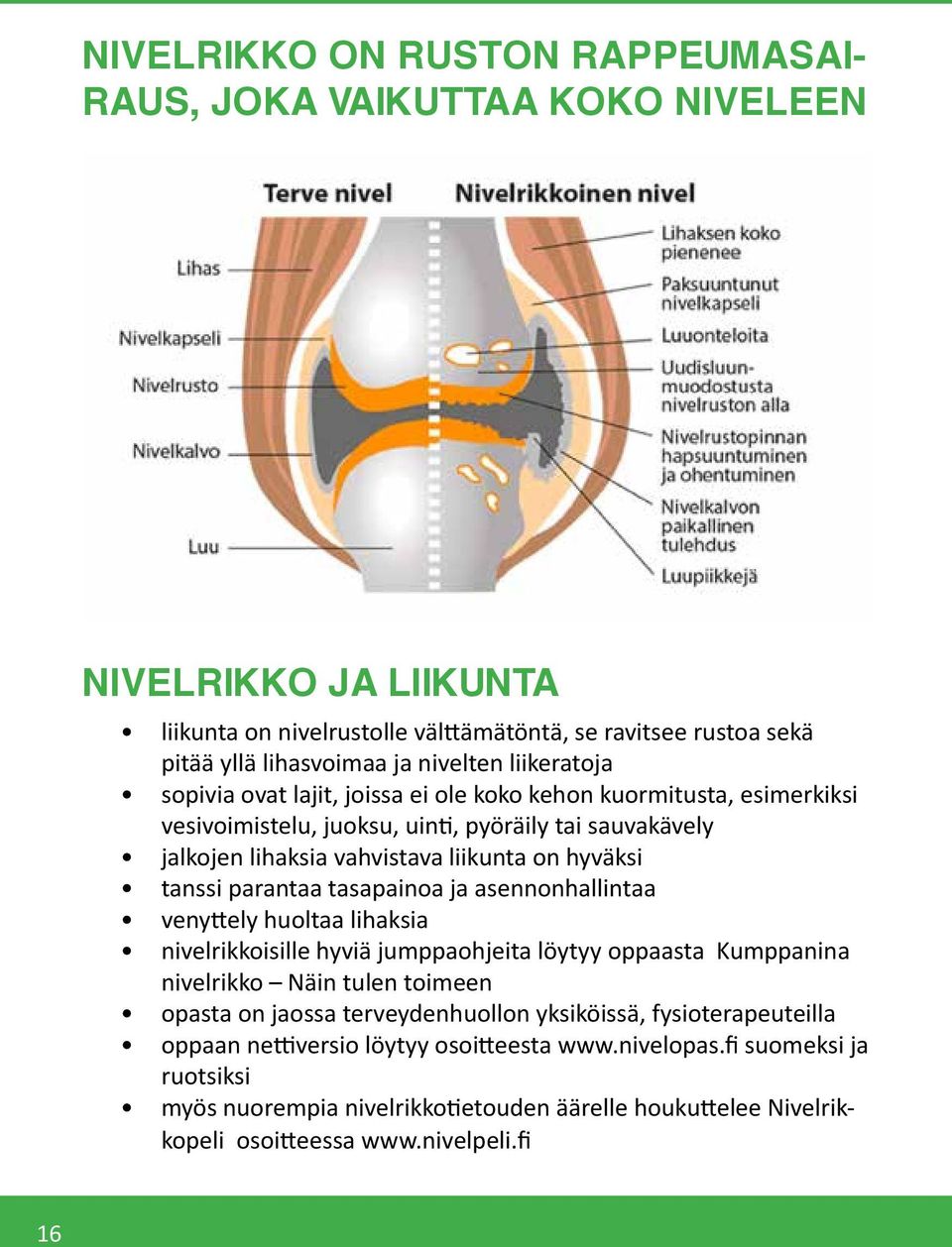 parantaa tasapainoa ja asennonhallintaa venyttely huoltaa lihaksia nivelrikkoisille hyviä jumppaohjeita löytyy oppaasta Kumppanina nivelrikko Näin tulen toimeen opasta on jaossa terveydenhuollon