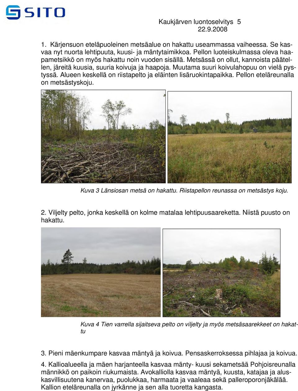 Muutama suuri koivulahopuu on vielä pystyssä. Alueen keskellä on riistapelto ja eläinten lisäruokintapaikka. Pellon eteläreunalla on metsästyskoju. Kuva 3 Länsiosan metsä on hakattu.