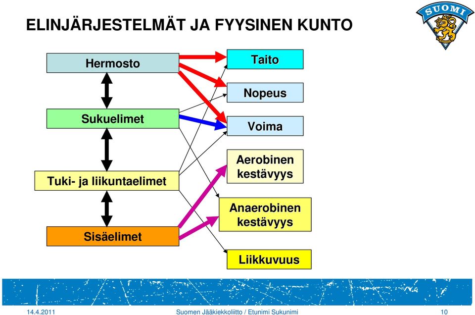 Voima Aerobinen kestävyys Anaerobinen kestävyys