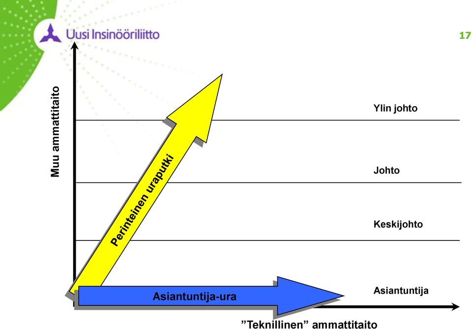 Asiantuntija-ura