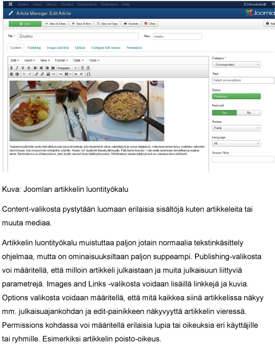 Publishing valikosta voi määritellä, että milloin artikkeli julkaistaan ja muita julkaisuun liittyviä parametrejä. Images and Links valikosta voidaan lisäillä linkkejä ja kuvia.
