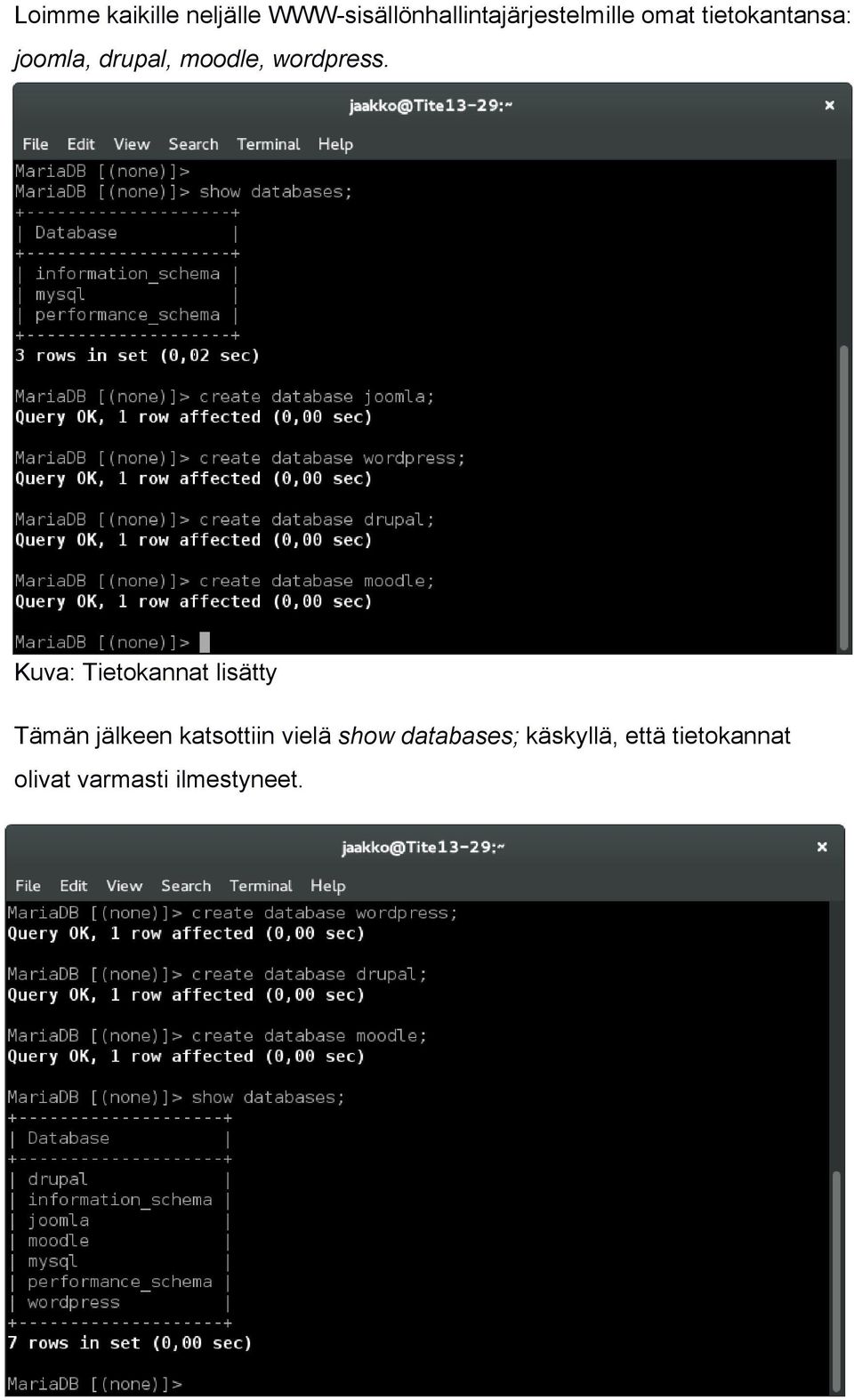 Kuva: Tietokannat lisätty Tämän jälkeen katsottiin vielä