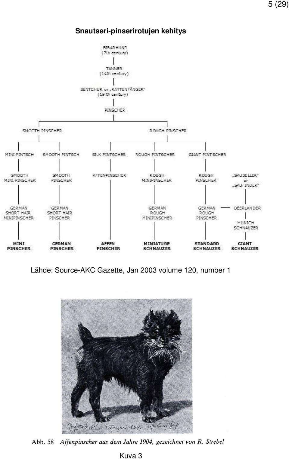 kehitys Lähde: Source-AKC